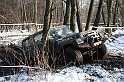 WOSP_Pasternik_2009 216